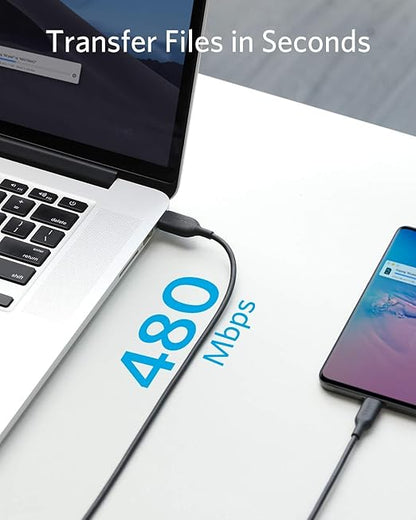 Anker PowerLine III USB-C to USB-C 2.0 Cable 3ft