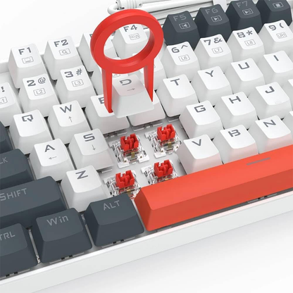 REDRAGON K552 WLR-R Mechanical Gaming Keyboard  Red Switches Rainbow LED